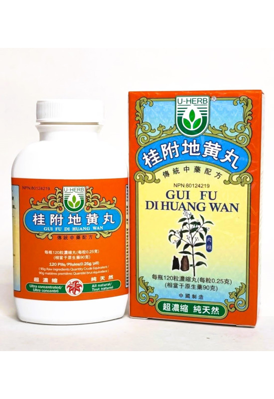 Gui Fu Di Huang Wan